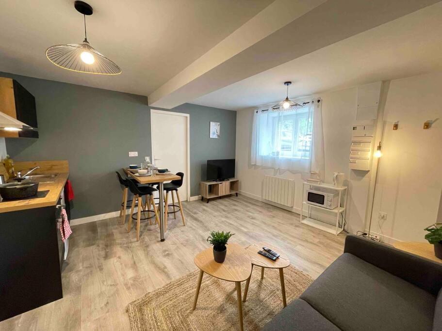 Appartement L'amazonite - Romans-sur-Isère