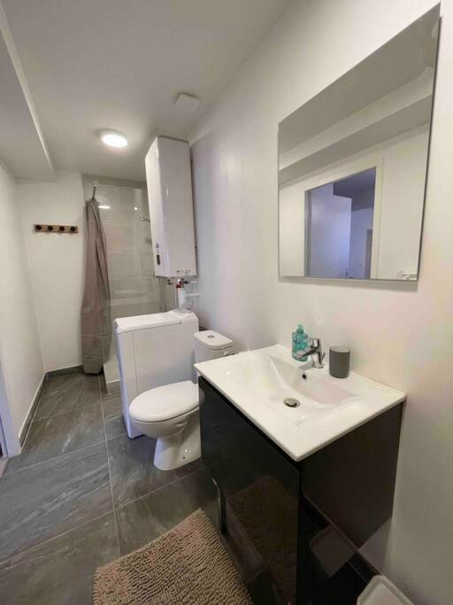 L'amazonite - Appartement Romans-sur-Isère